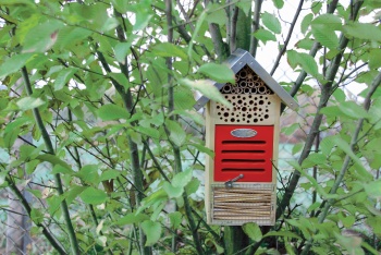 Insectenhotel